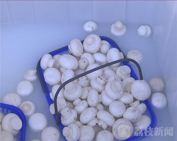 ng南宫28官网登录警觉“毒”蘑菇 增加“焦亚硫酸钠”为蘑菇护色(图1)