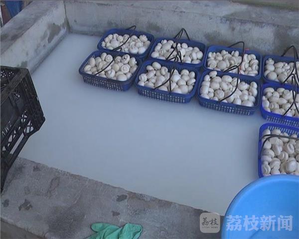ng南宫28官网登录警觉“毒”蘑菇 增加“焦亚硫酸钠”为蘑菇护色(图3)